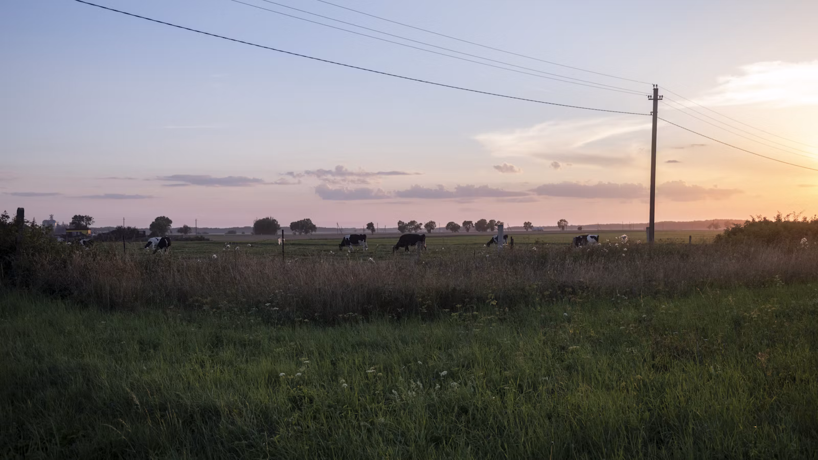 Vienos dienos kelionės po Lietuvą: kaip pasirinkti realų maršrutą