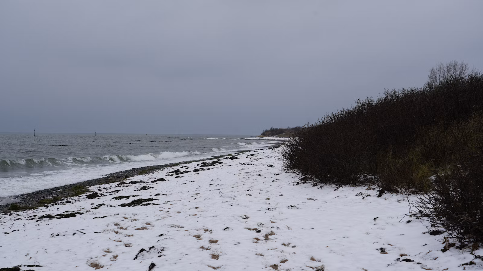 Ką veikti Palangoje žiemą: ramus ne sezono gidas