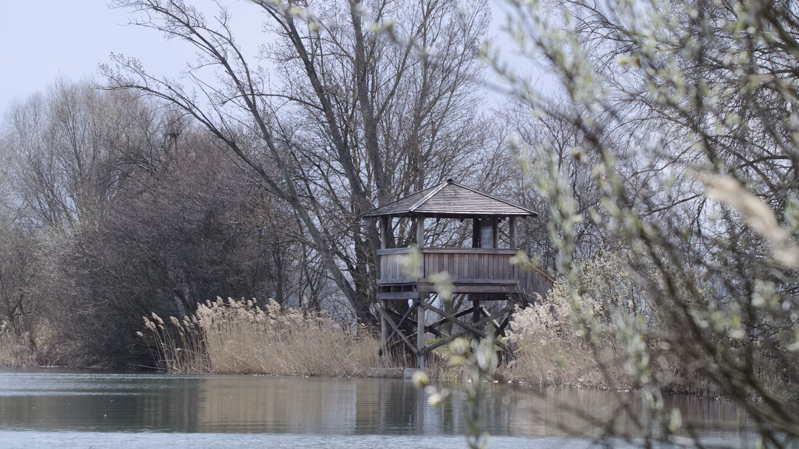 Molėtai: lankytinos vietos ežerų ir žvaigždžių krašte