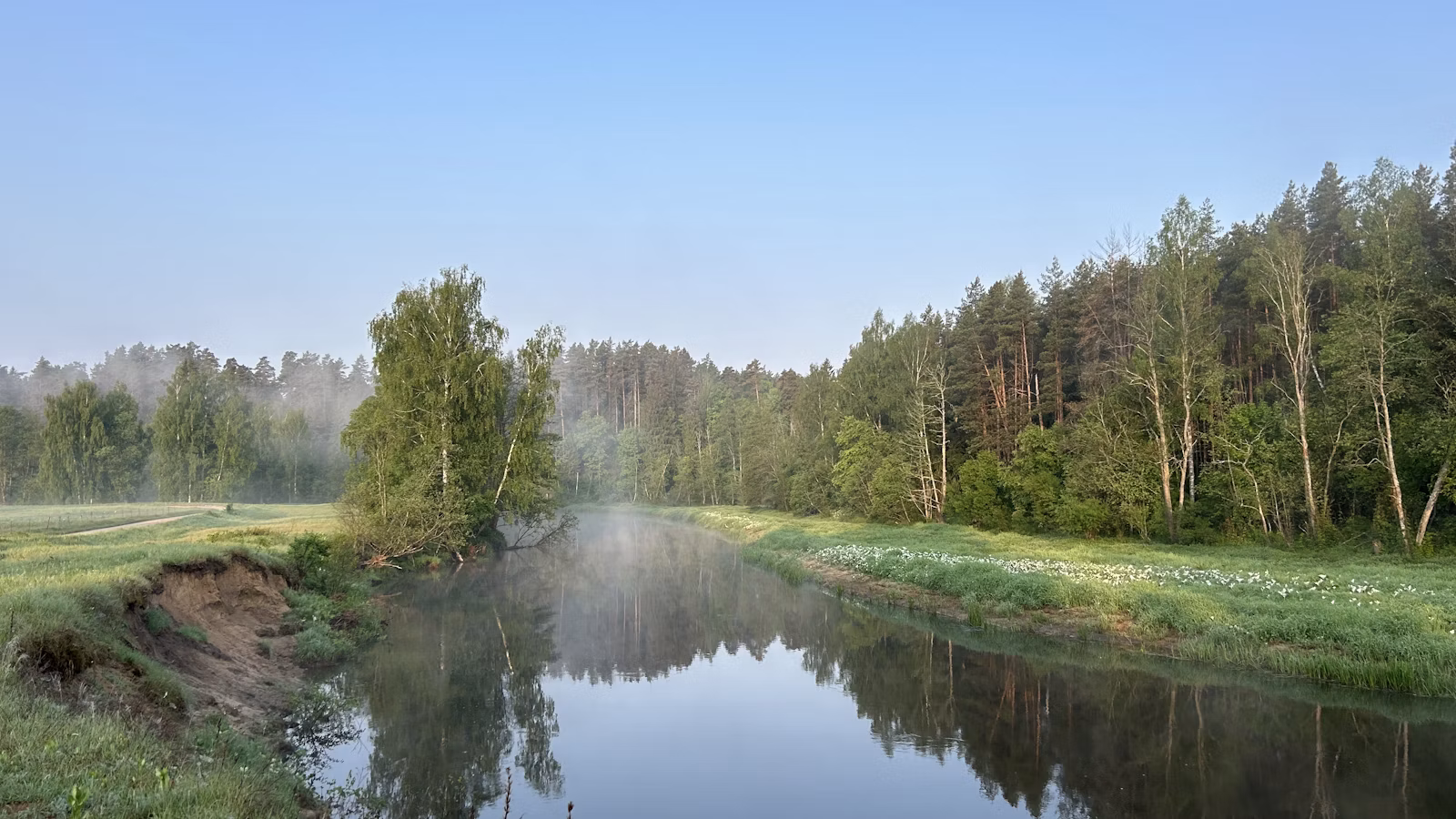 Lėta upė tarp žalių miškų