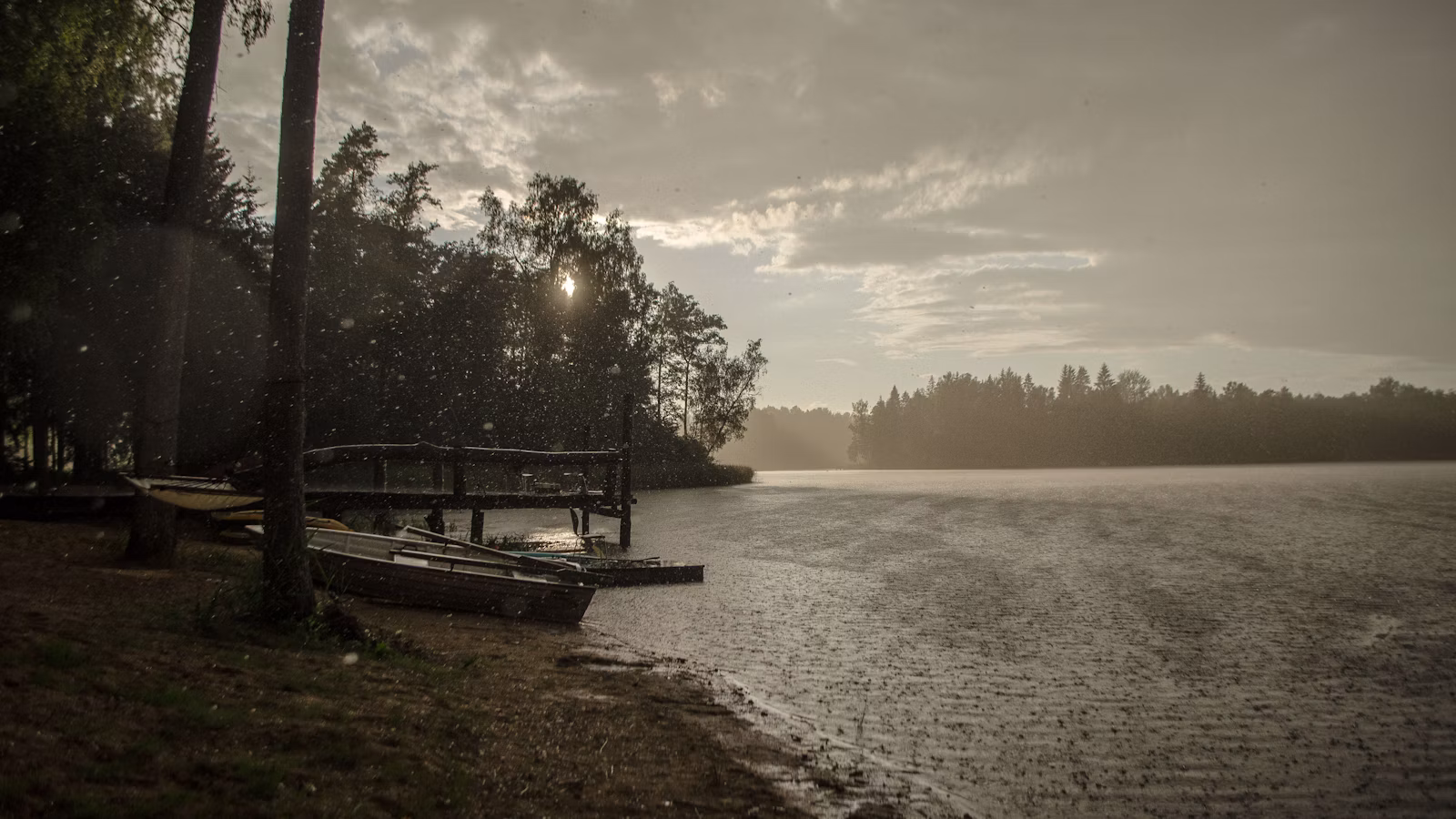 Medinė prieplauka prie ramaus miško ežero