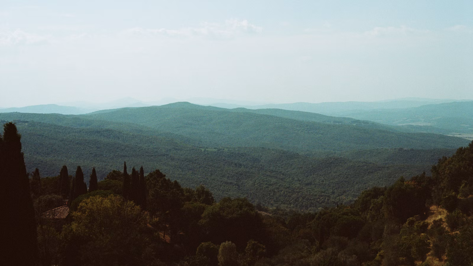 Banguojančios miškingos aukštumos migloje